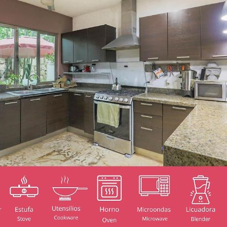 Guest House La Aldea Holistic Experience 칸쿤 외부 사진