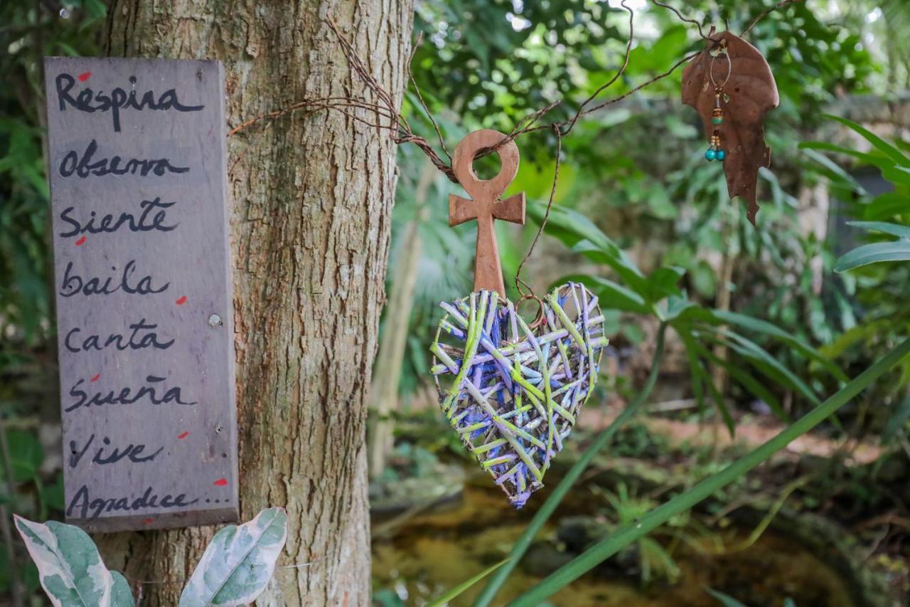 Guest House La Aldea Holistic Experience 칸쿤 외부 사진
