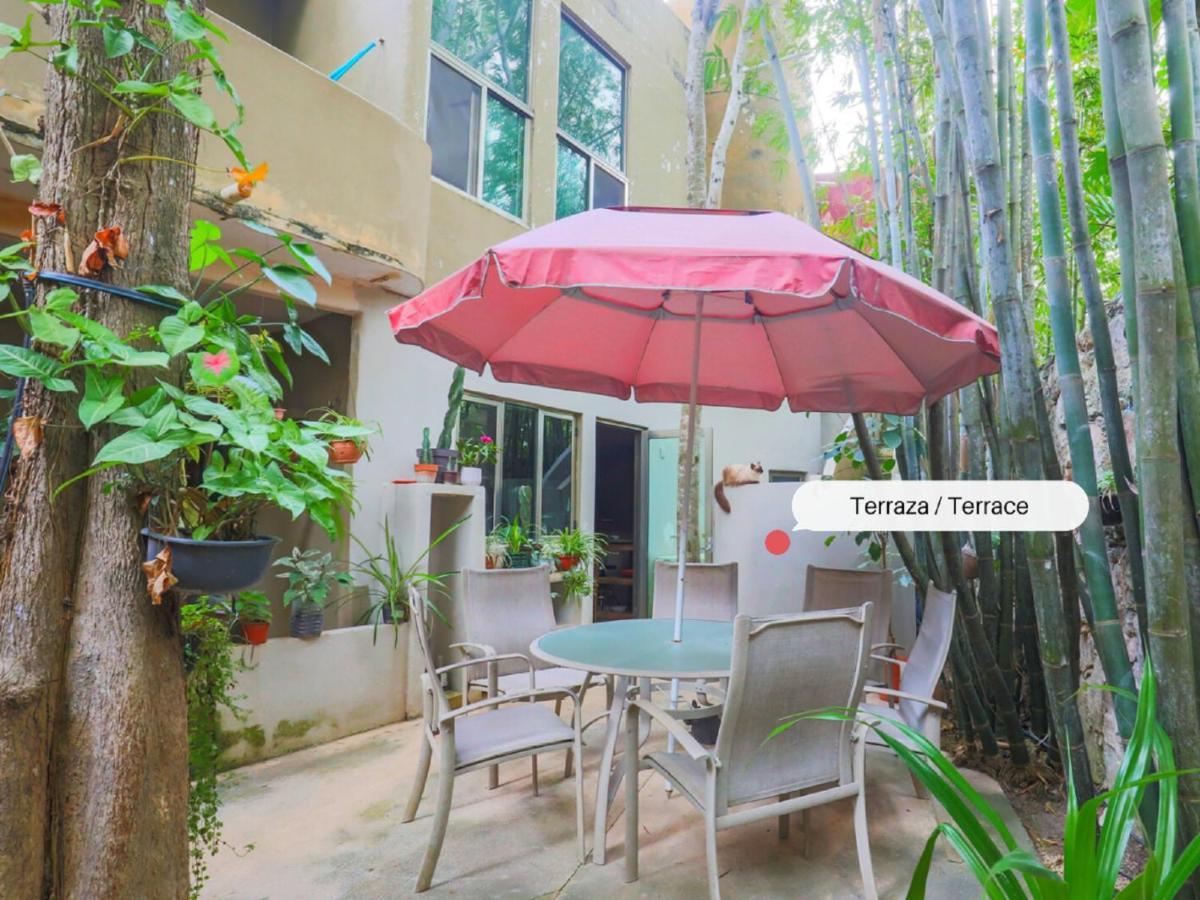 Guest House La Aldea Holistic Experience 칸쿤 외부 사진