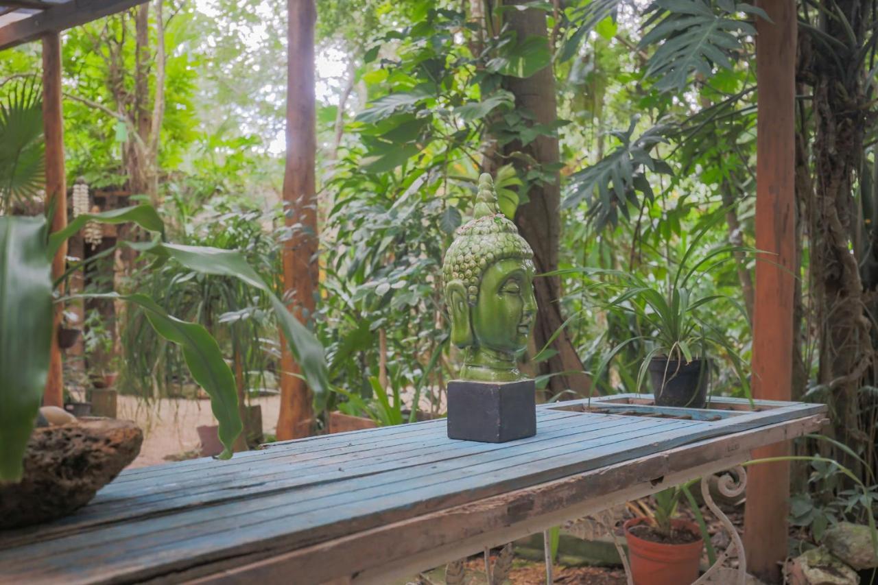 Guest House La Aldea Holistic Experience 칸쿤 외부 사진