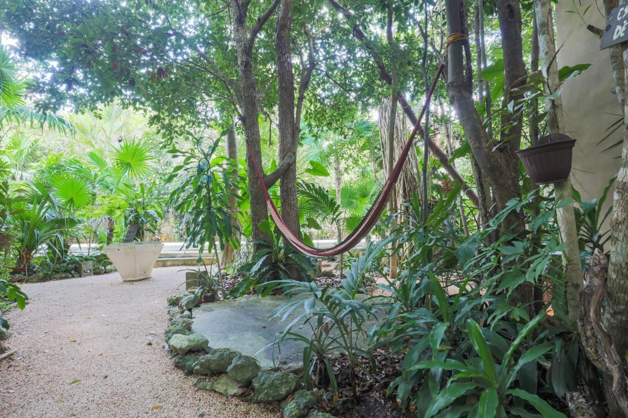 Guest House La Aldea Holistic Experience 칸쿤 외부 사진