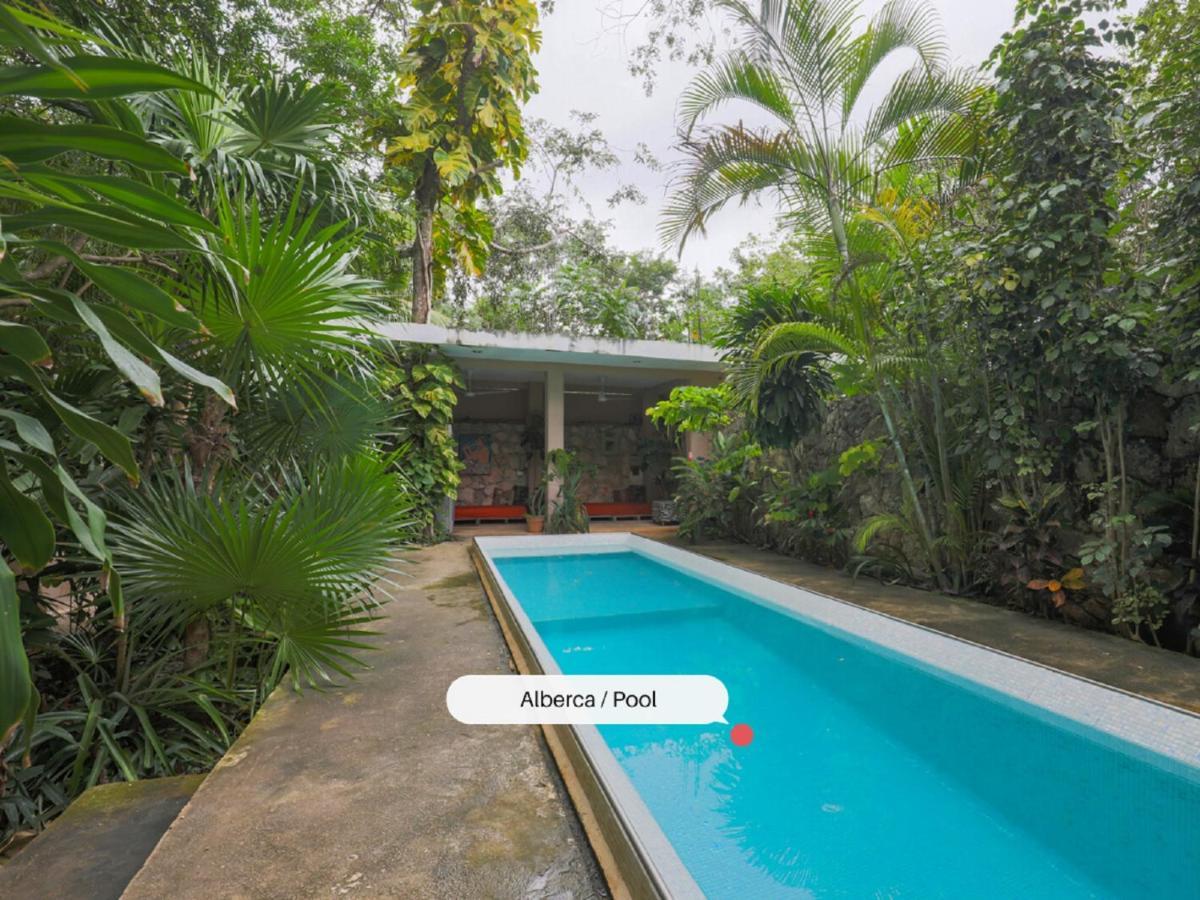 Guest House La Aldea Holistic Experience 칸쿤 외부 사진