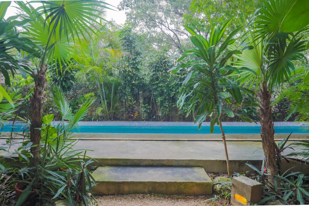 Guest House La Aldea Holistic Experience 칸쿤 외부 사진